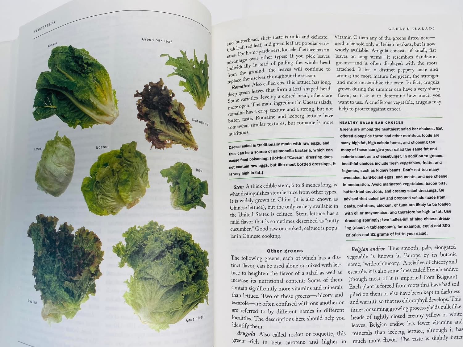 The Wellness Encyclopedia of Food and Nutrition - Ảnh 7