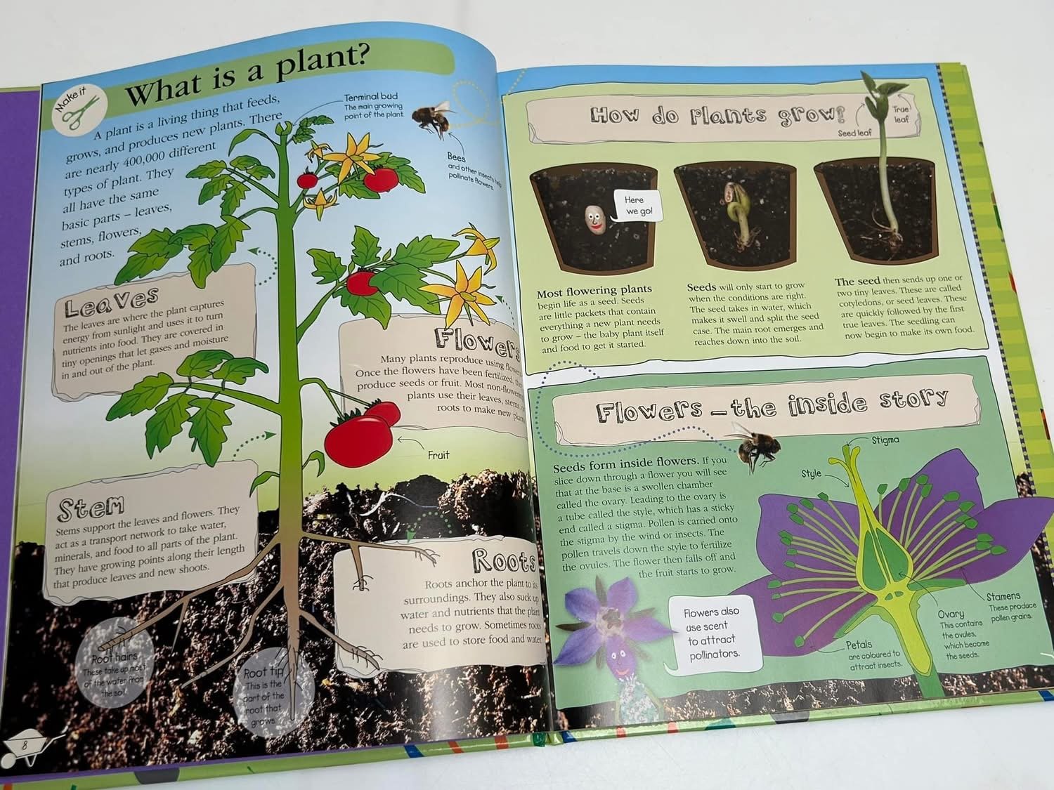 RHS Garden Projects - Ảnh 11