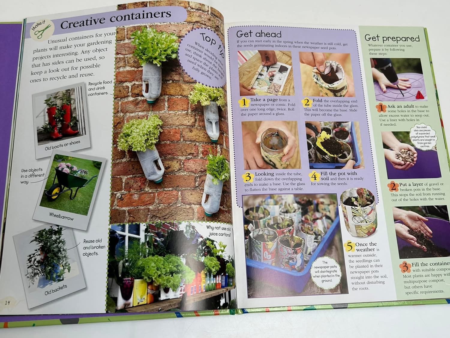 RHS Garden Projects - Ảnh 9