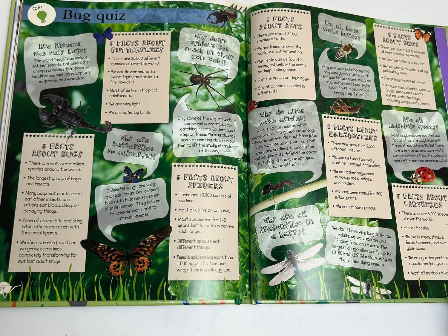 RHS Garden Projects - Ảnh 4